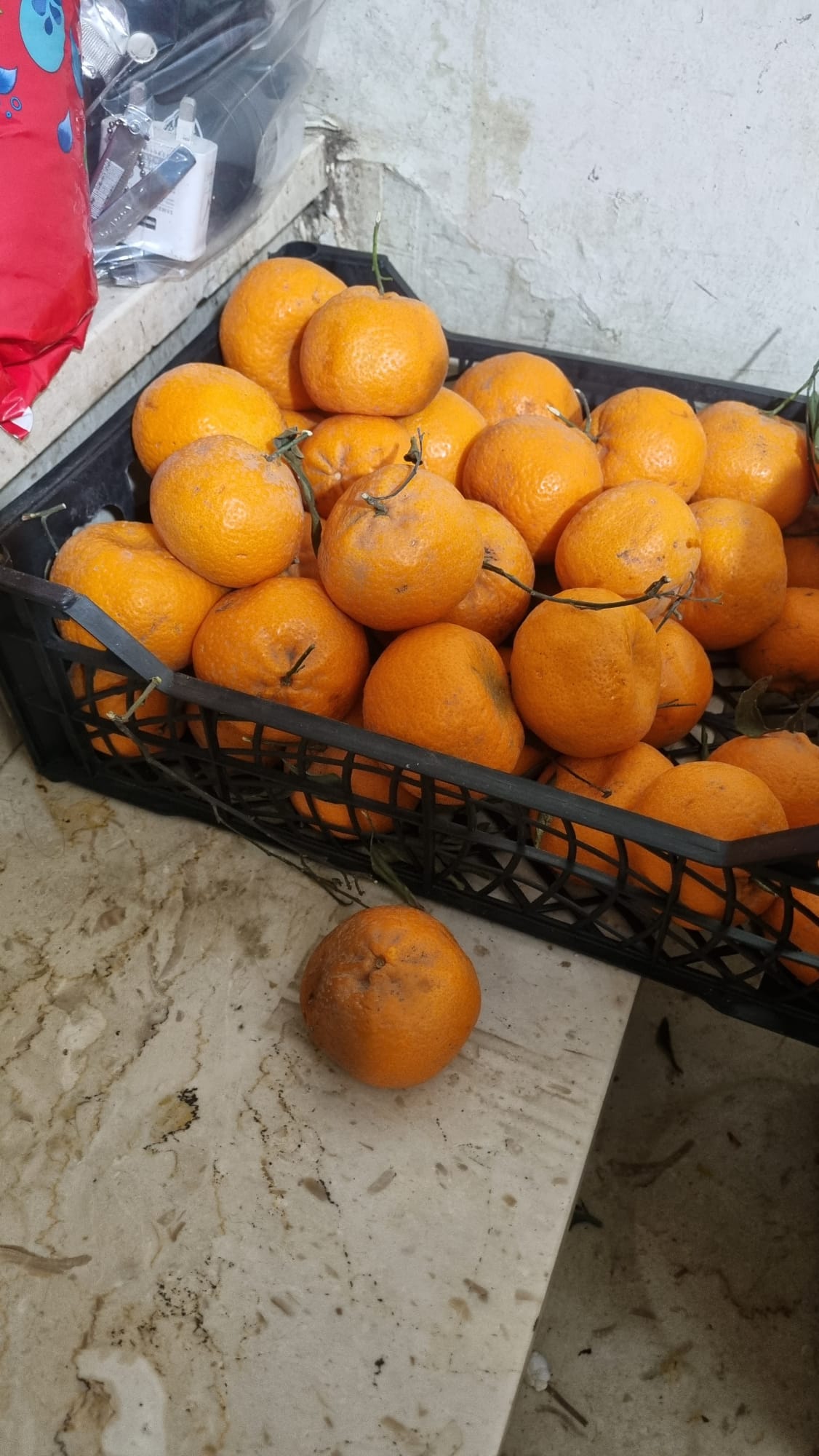 Fresh orange 9kg