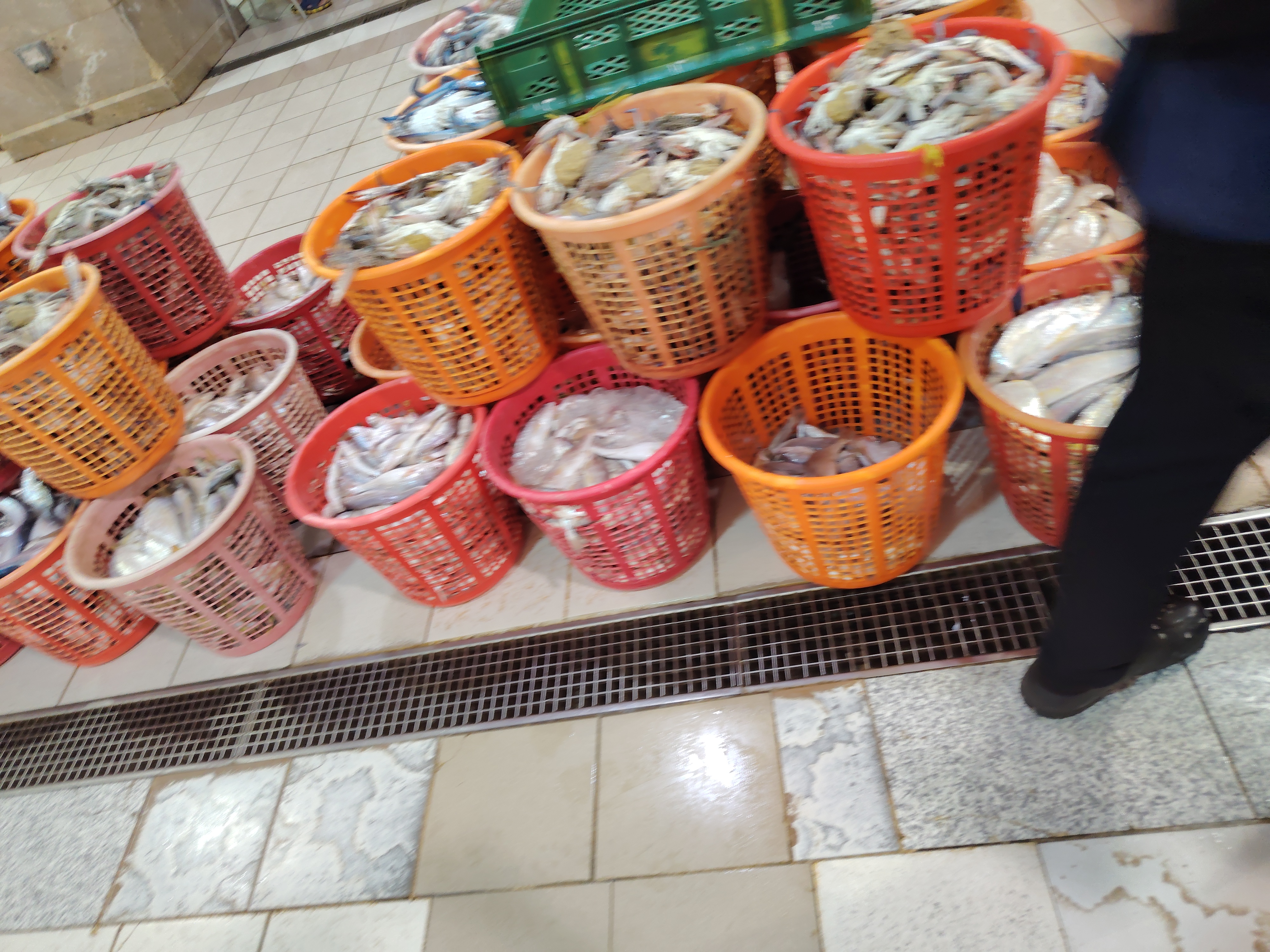 Fresh Sea fish for hole sale